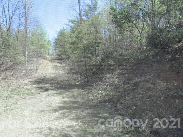 000 Green Point Lane - Photo 1