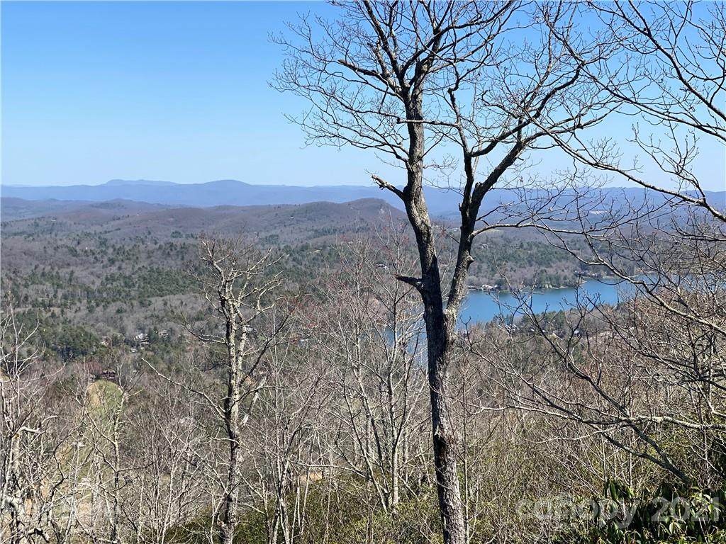 117 Toxaway Drive - Photo 1