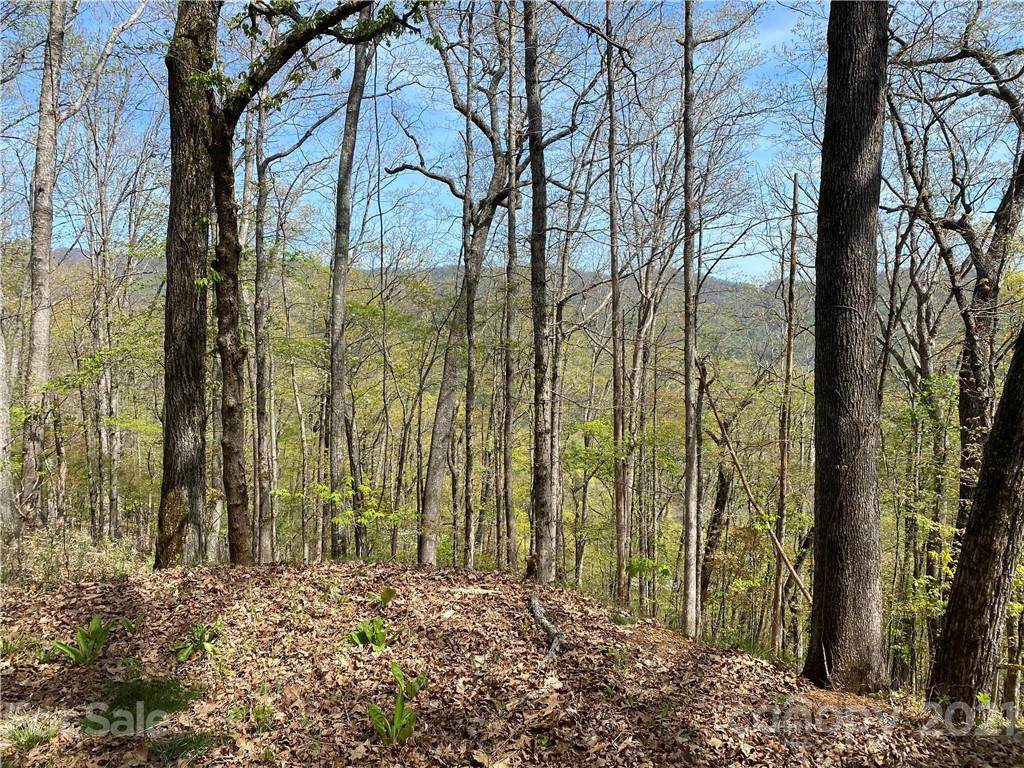 0 Brush Creek Road - Photo 1
