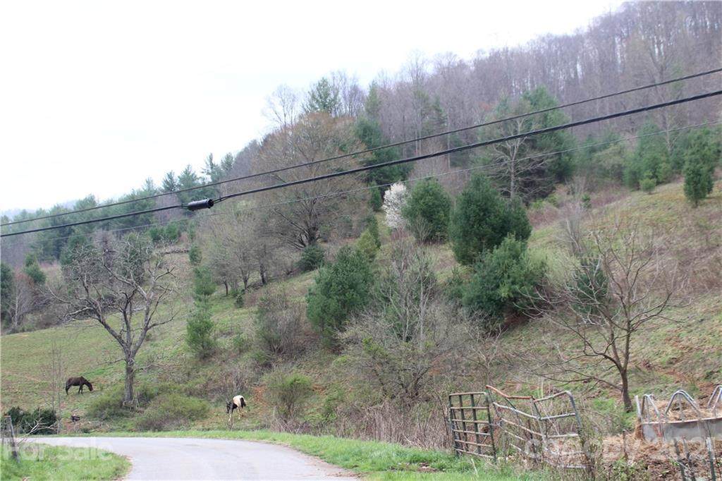 00 Butter Sop Road - Photo 1