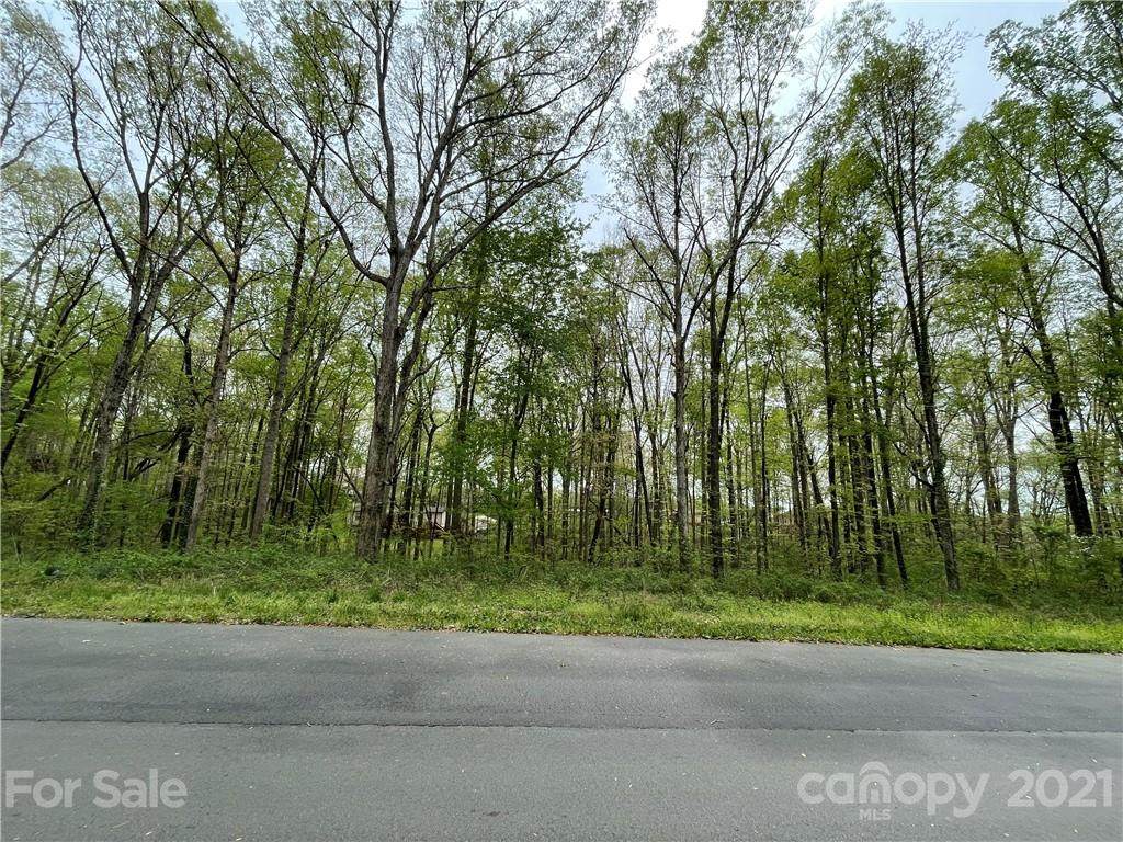 Lots 98 - 101 Woodside Road - Photo 1