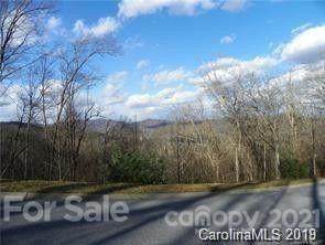 35R Mills River Way - Photo 1