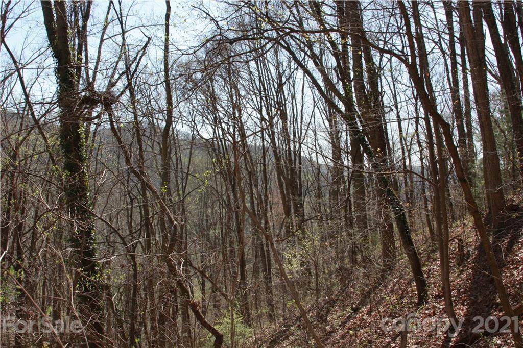 000 Eller Cove Road - Photo 1