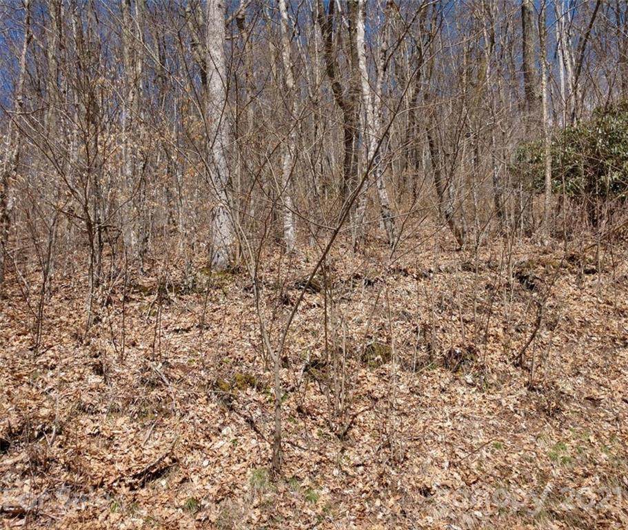 314 Spring Brook Drive - Photo 1