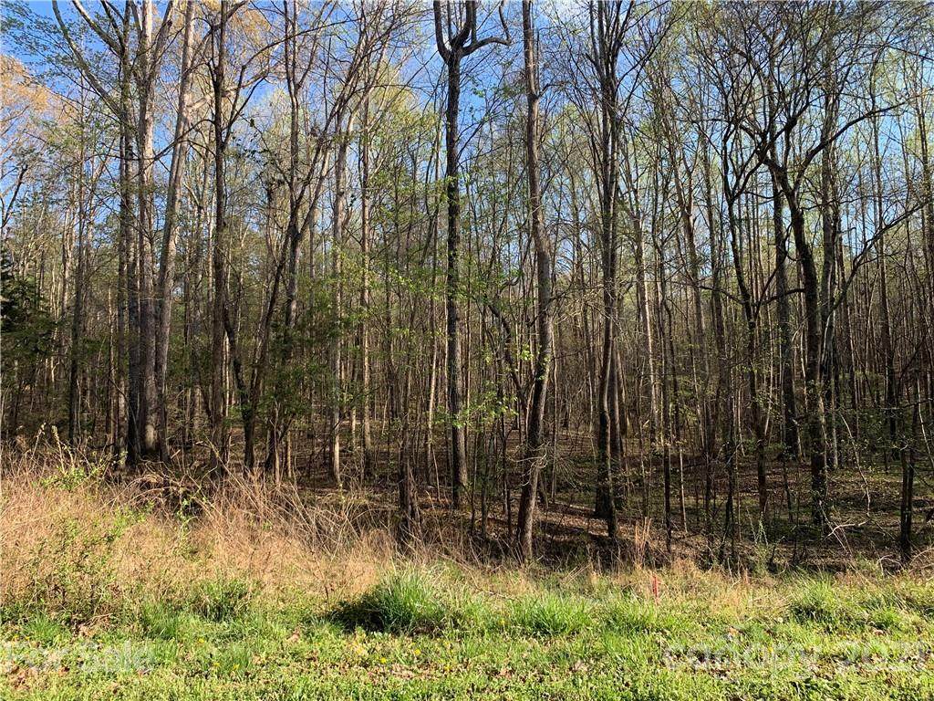 #42 Eutaw Drive - Photo 1