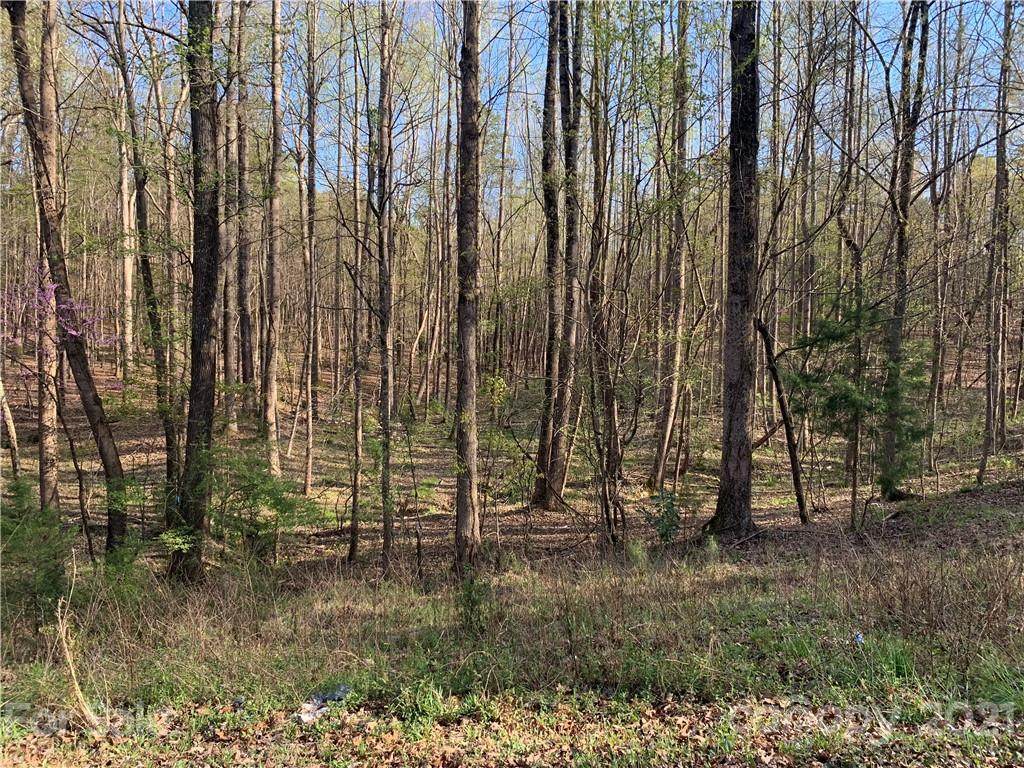 #41 Eutaw Drive - Photo 1