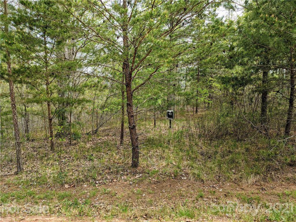 57 acre tract on Darrow Drive - Photo 1