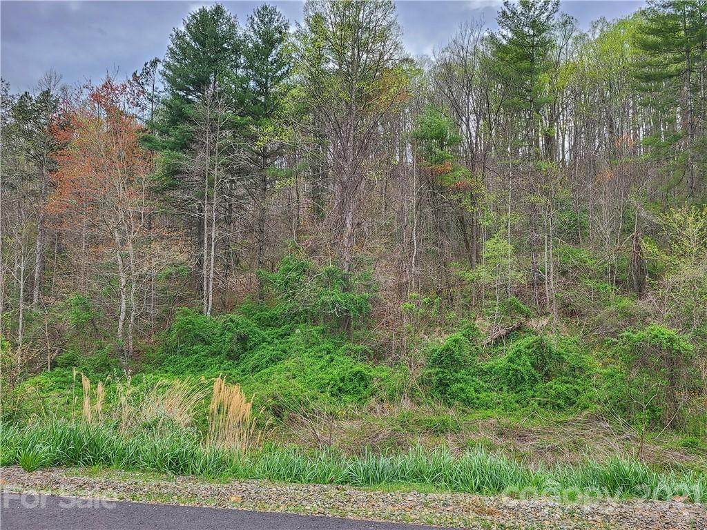 111 Blackberry Cove Drive - Photo 1
