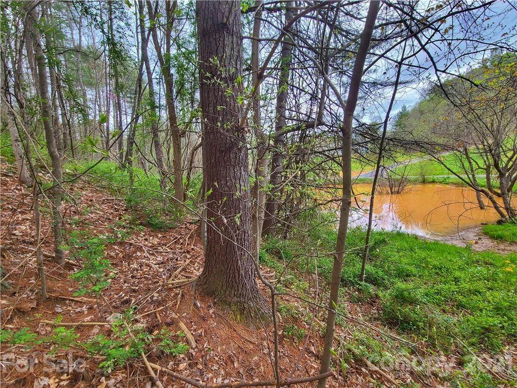 175 Blackberry Cove Drive - Photo 1