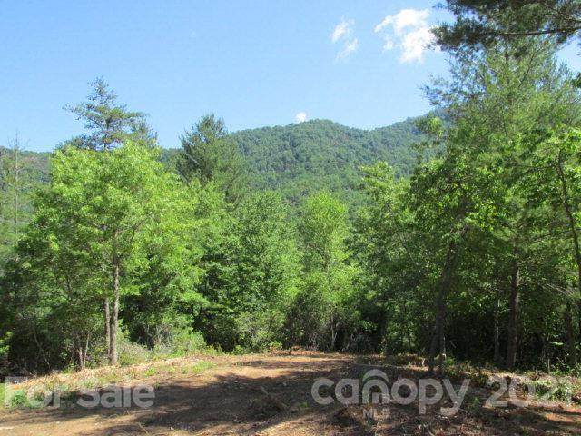 Lot 34 Lavender Way - Photo 1