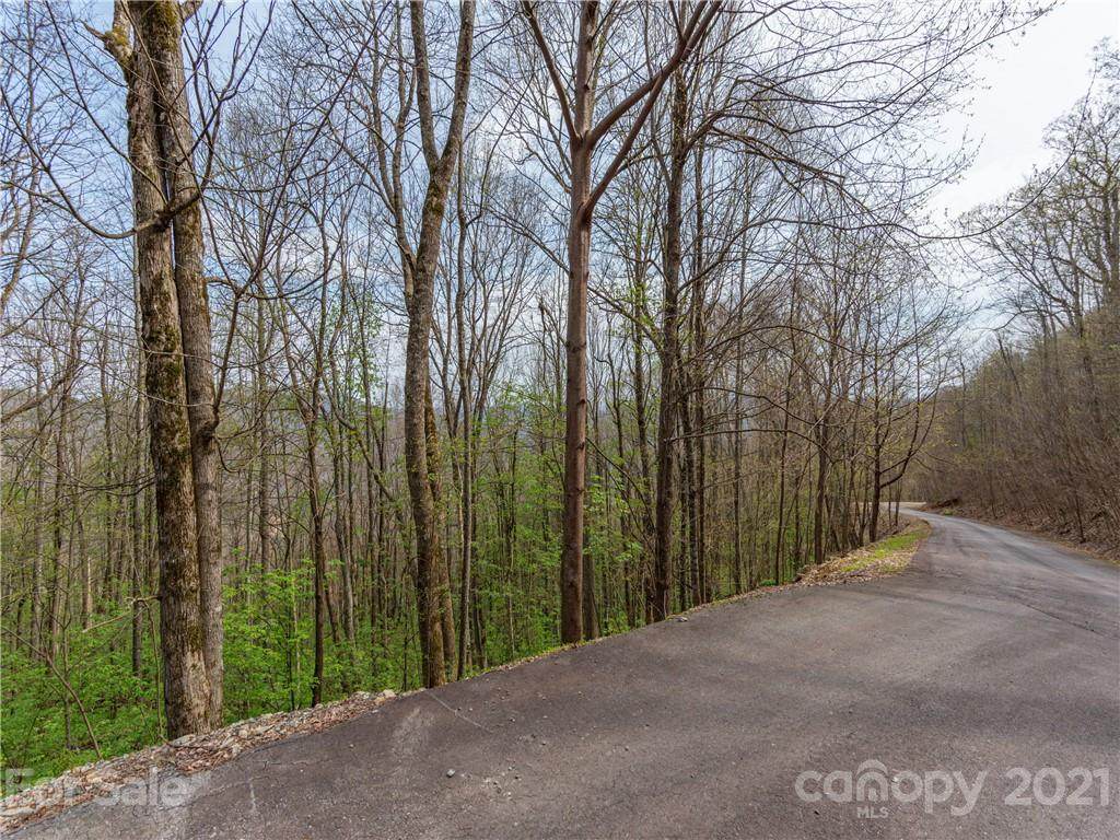 Lot 121 Slippery Rock Road - Photo 1