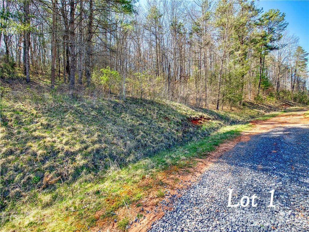 Lot 1 Leatherwood Road - Photo 1