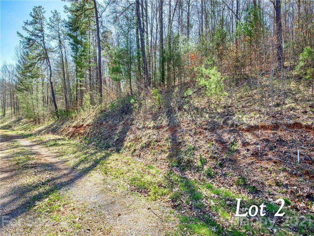 Lot 2 Leatherwood Road - Photo 1