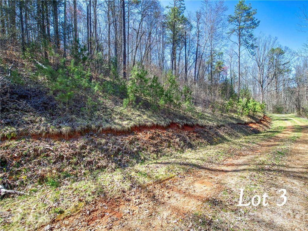 Lot 3 Leatherwood Road - Photo 1