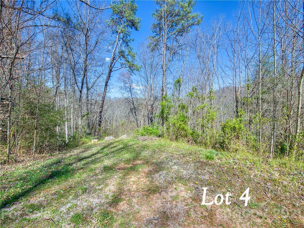 Lot 4 Leatherwood Road - Photo 1