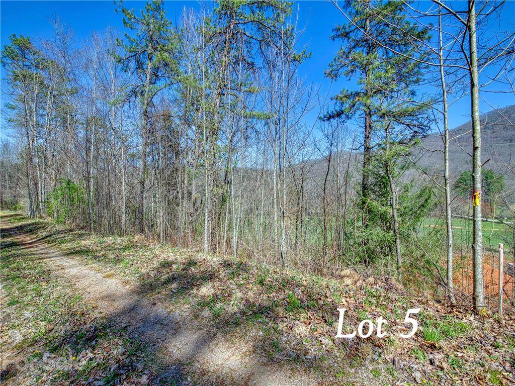 Lot 5 Leatherwood Road - Photo 1
