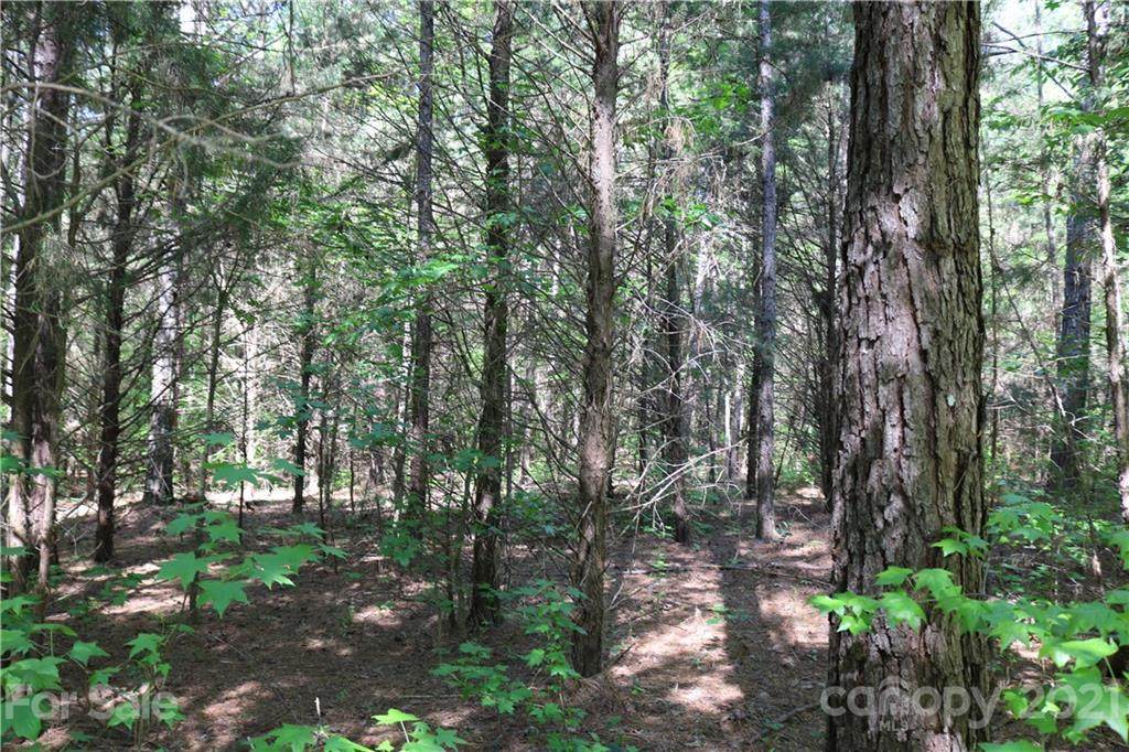 Lot #95 Waxhaw Creek Road - Photo 1