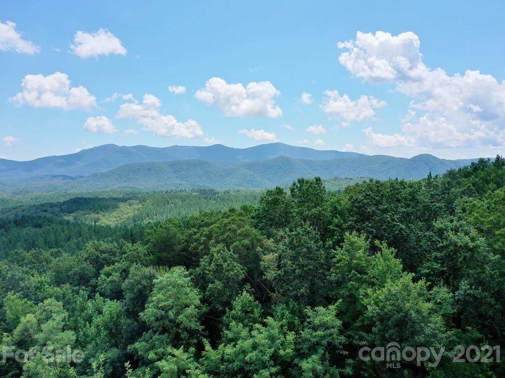 Lot 2027 Deep Gap Farm Road - Photo 1
