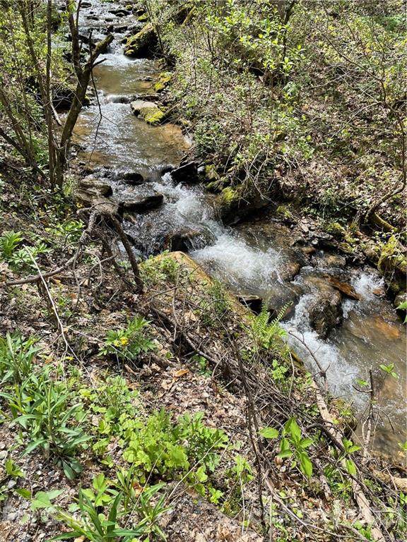 00 Cane Creek Road - Photo 1