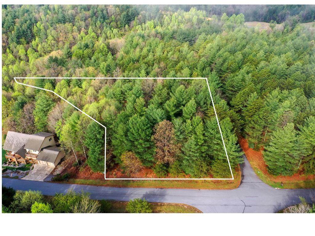 00000 Lake James Road - Photo 1