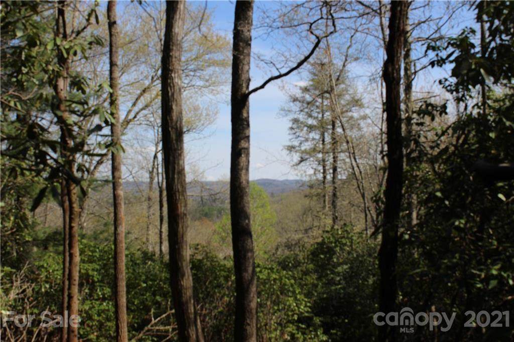 19 Hawkins Hollow Road - Photo 1