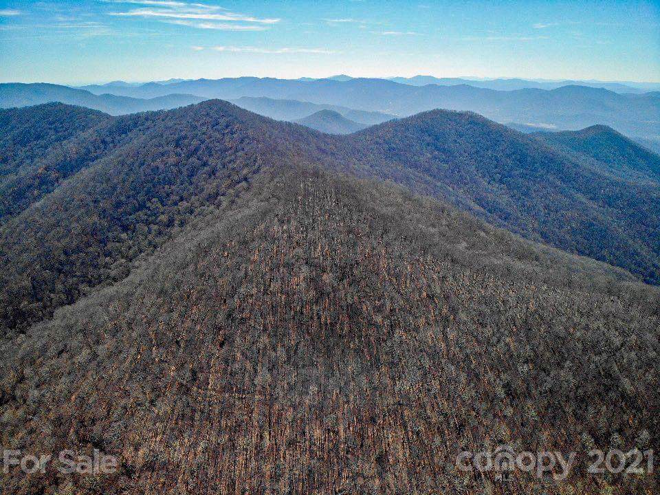 0000 Ox Creek Road - Photo 1