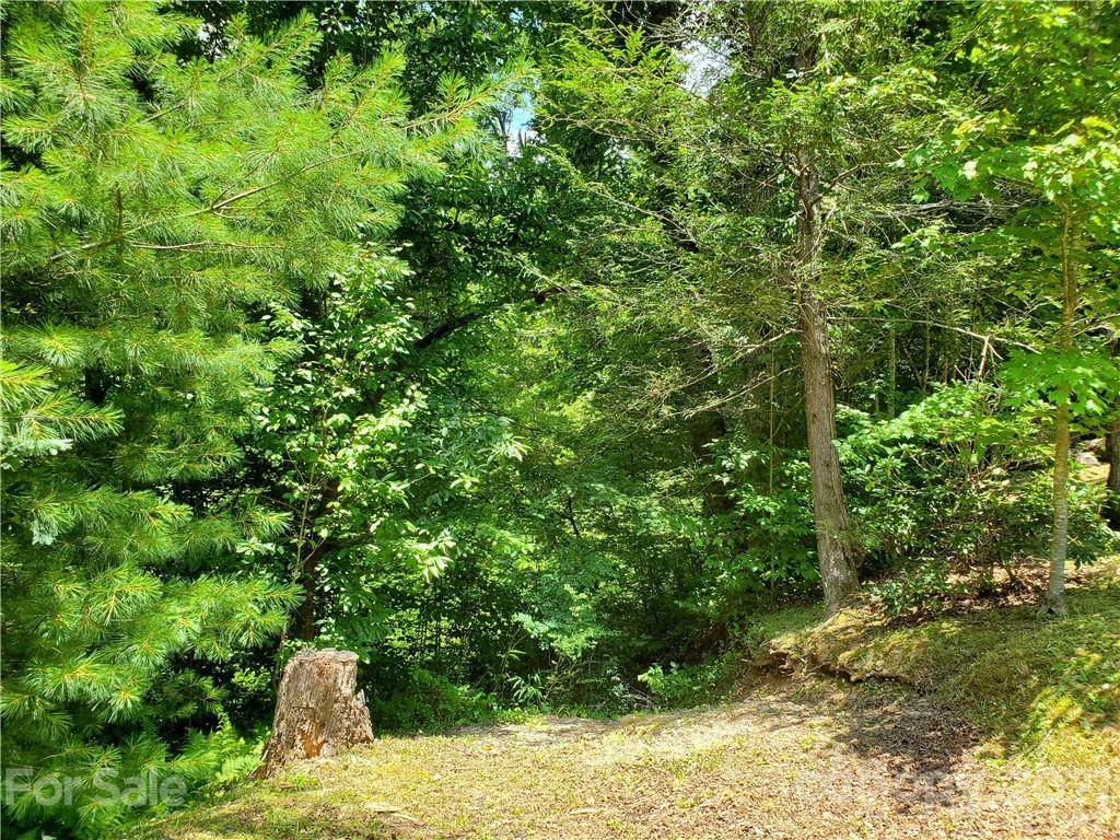 263 Long Ridge Road - Photo 1