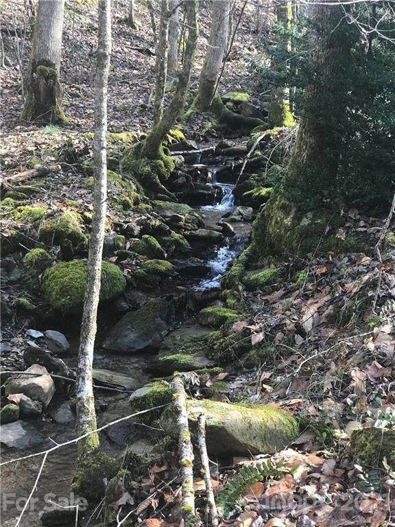 5745 Nc Hwy 28 Highway - Photo 1