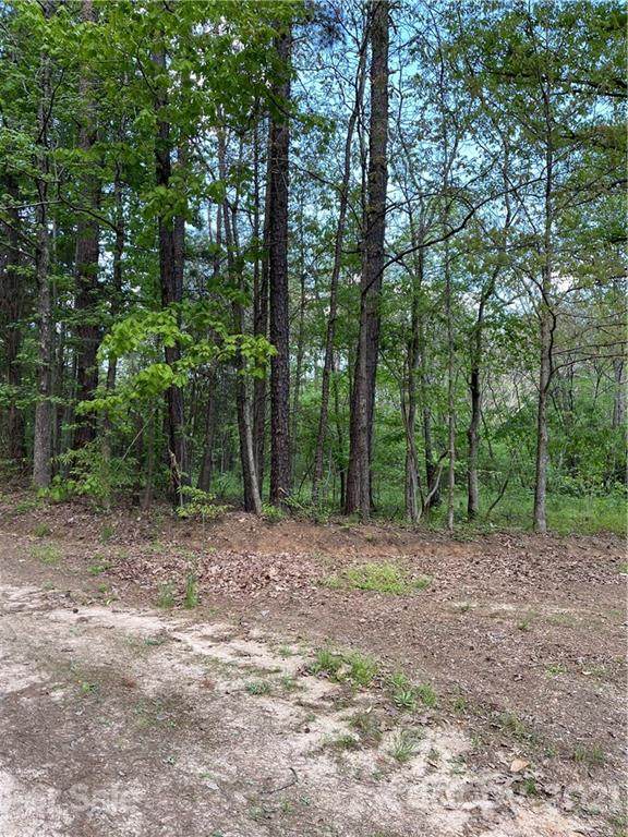 0000 Pipeline Road - Photo 1