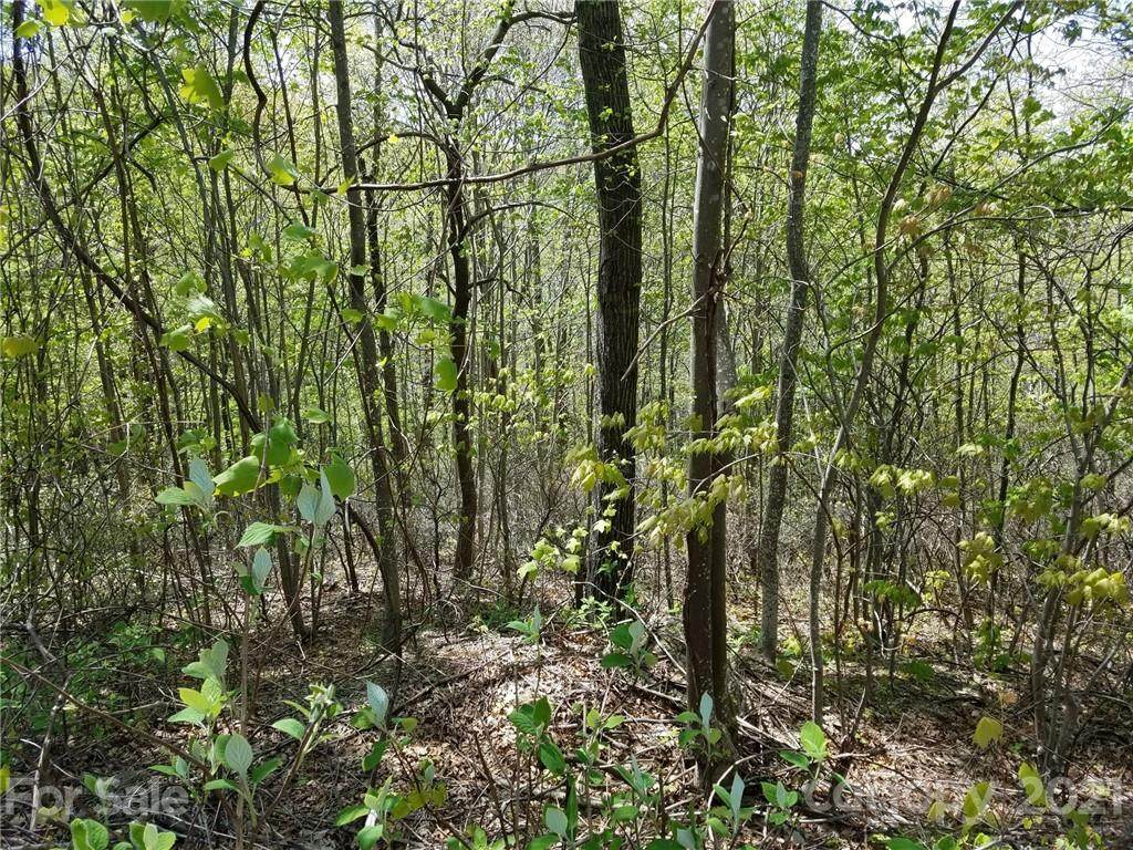 0000 Melrose Mountain Drive - Photo 1