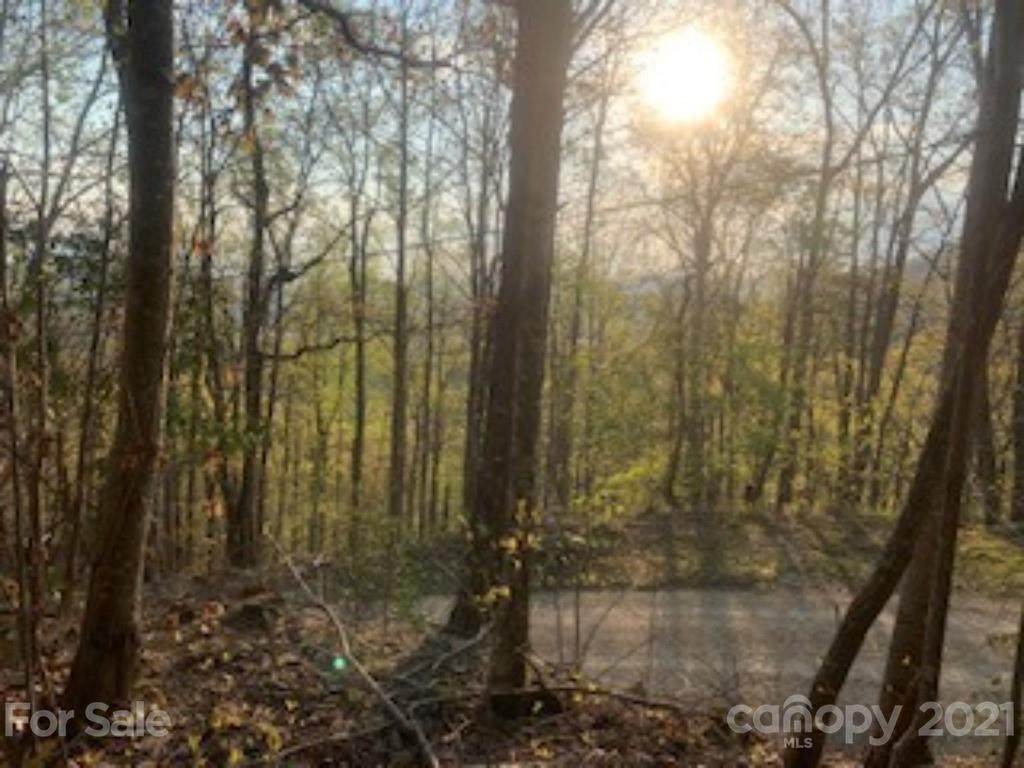 99999 Harrison Hill Road - Photo 1