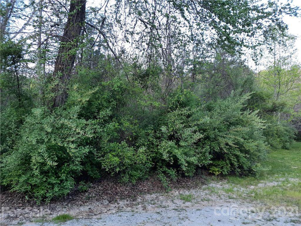 0000 Nature Drive - Photo 1