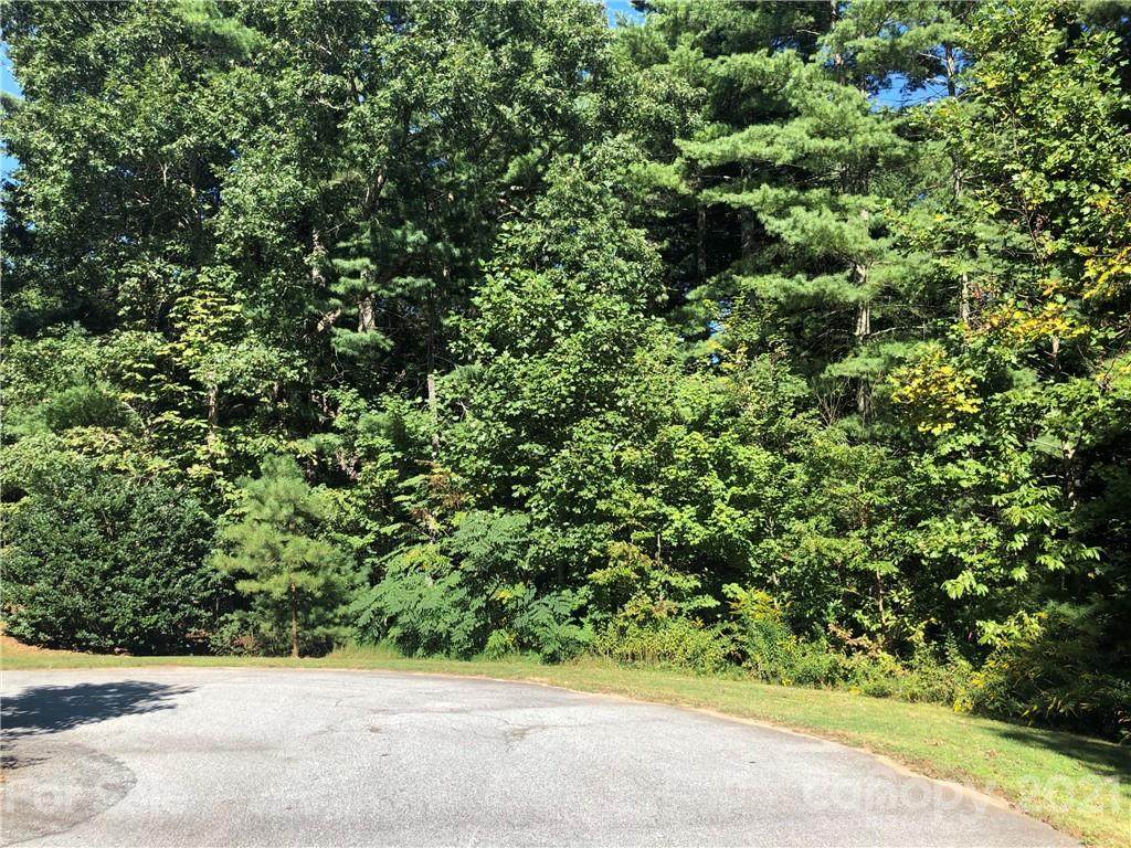 LOT 19 Daylily Drive - Photo 1
