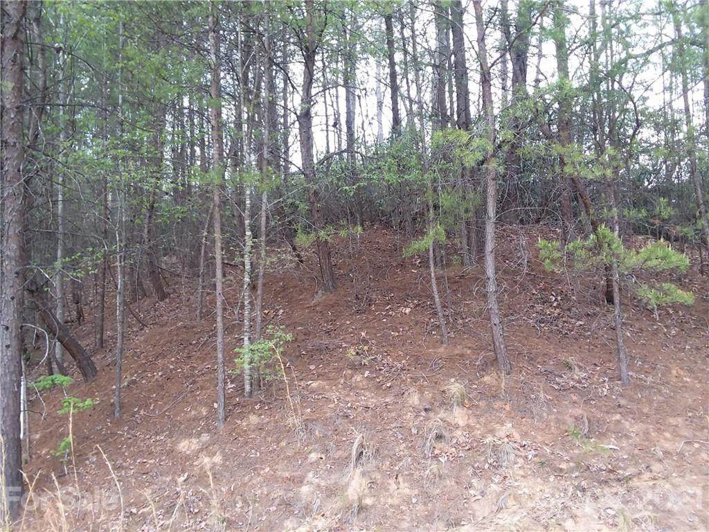 LOT 74 Lakewood Drive - Photo 1