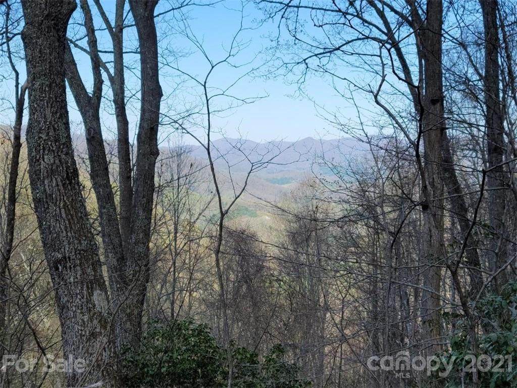 155 Dry Spring Loop - Photo 1