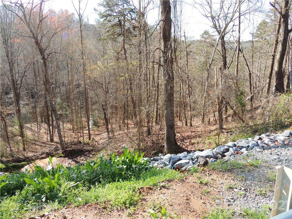 0 Bills Creek Road - Photo 1