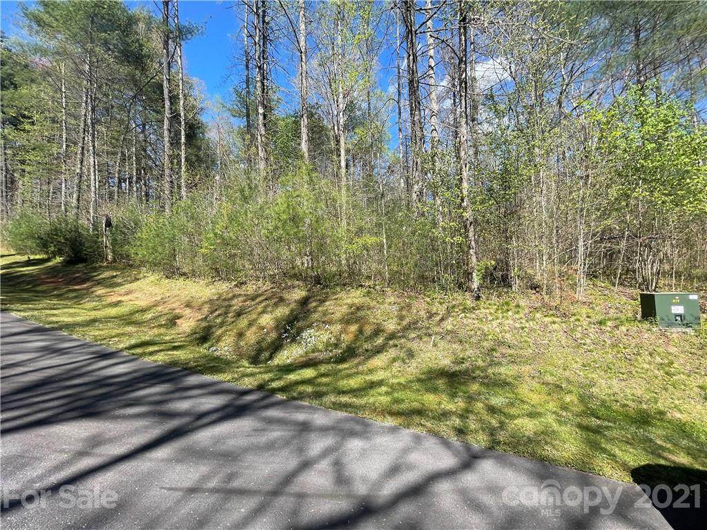53R High Hemlock Trail - Photo 1