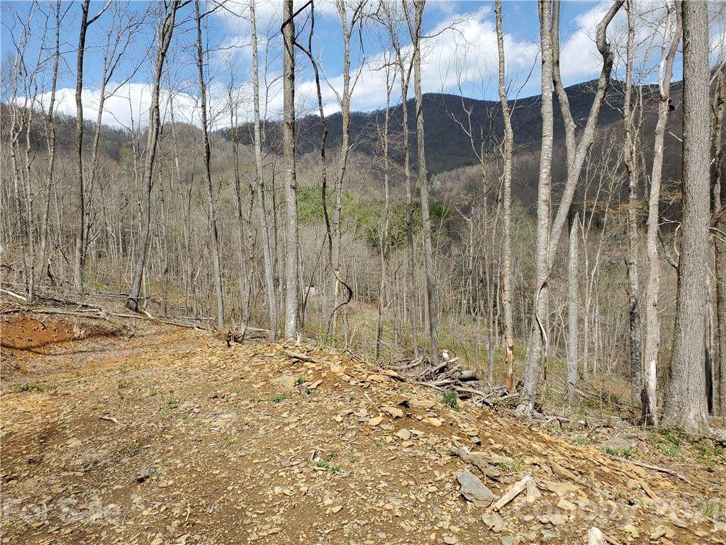 near 1637 Claybank Road - Photo 1