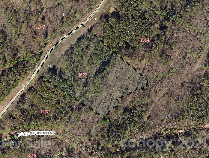 256 Pilot Ridge Road - Photo 1