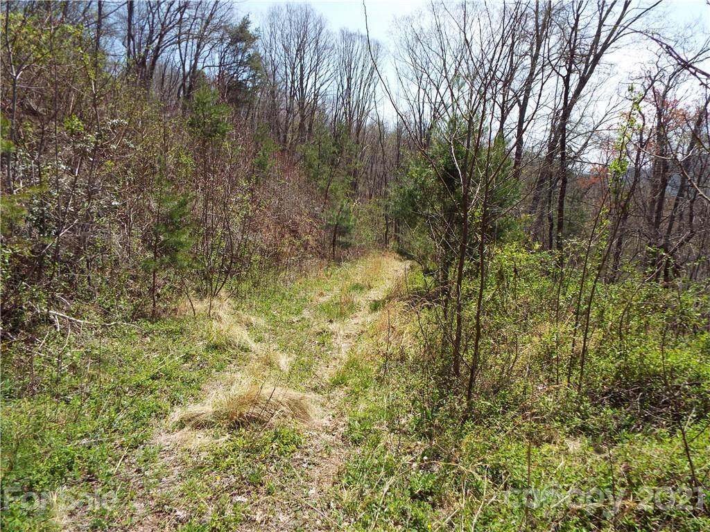 000 Chambers Mountain Road - Photo 1