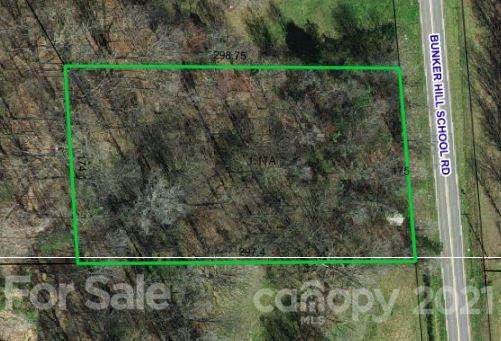 3551 Bunker Hill School Road - Photo 1