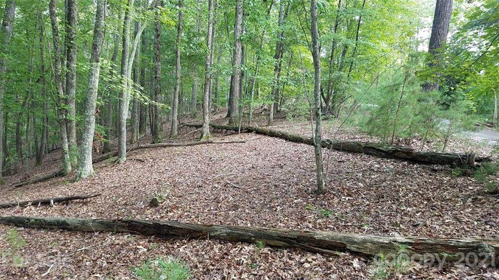 Lot 26 Quiet Place - Photo 1