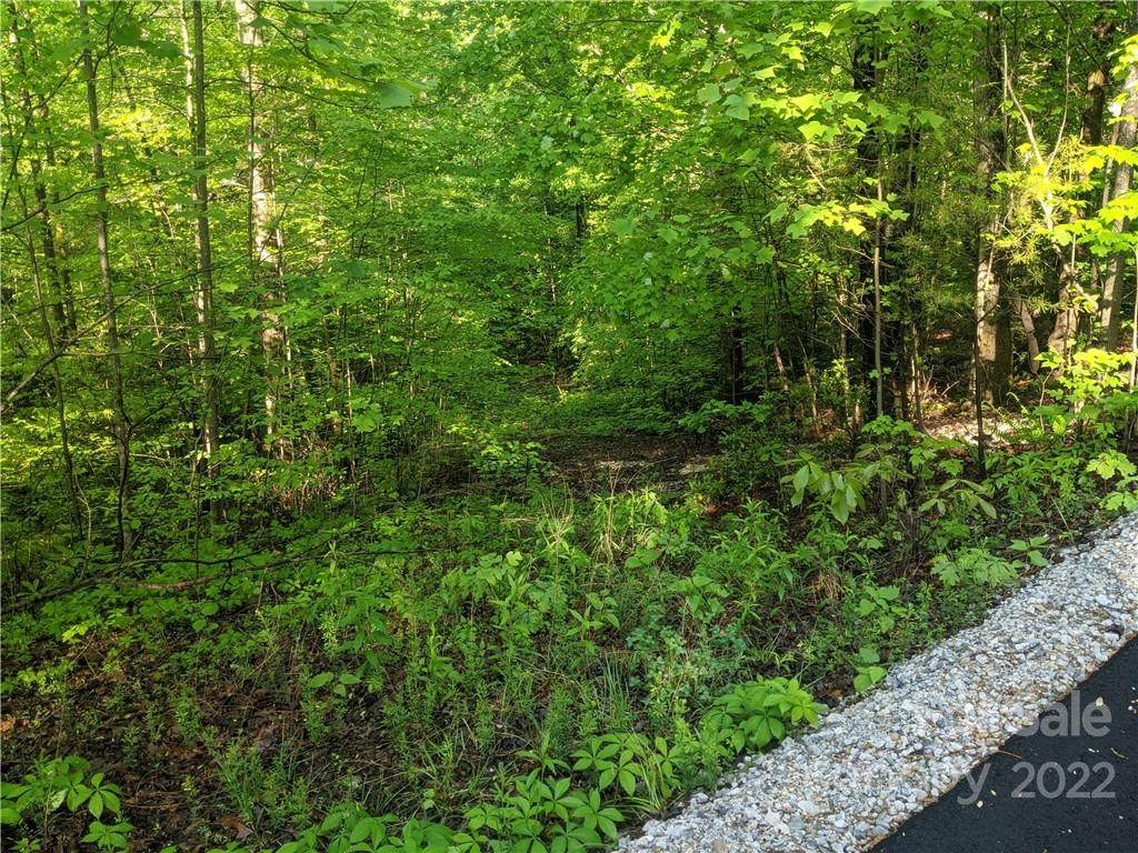 TBD Wild Cherry Lane - Photo 1