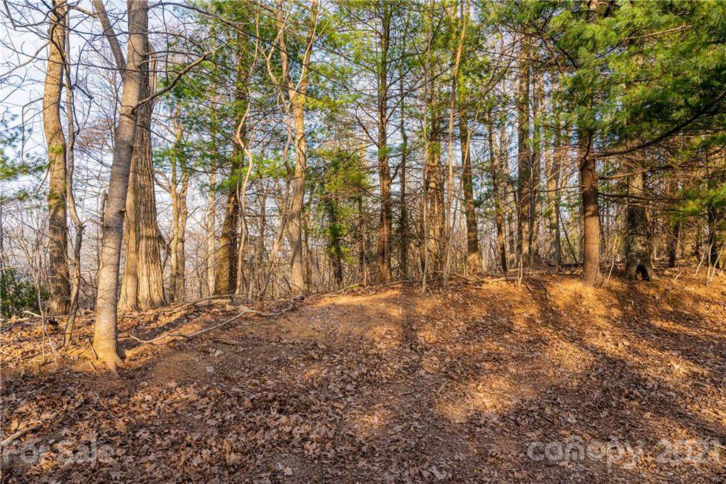 400 Chestnut Drive - Photo 1