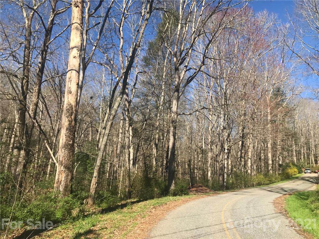 Lot 7 & 8 Barberry Circle - Photo 1