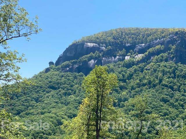 0000 Hickory Trail - Photo 1