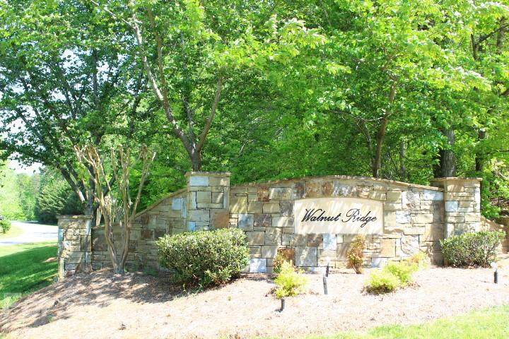 Lot 1 Walnut Ridge Drive - Photo 1