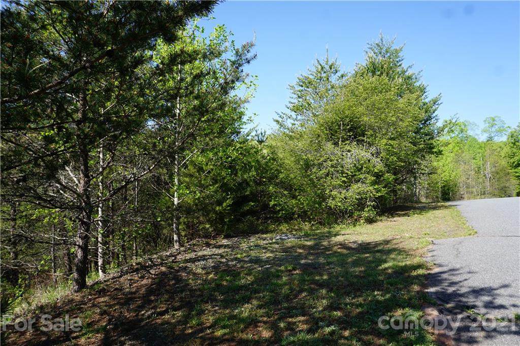 Lot 45 Brookside Parkway - Photo 1