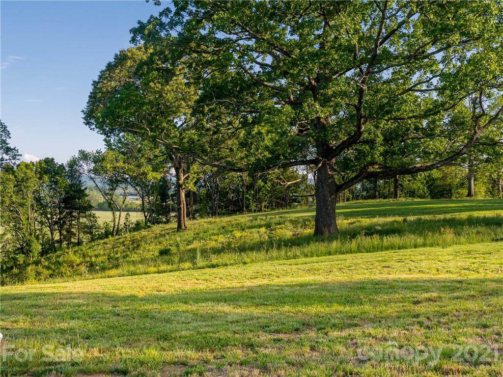 Lot 34 Pisgah Ridge Trail - Photo 1