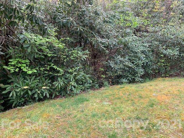 201 Settings Boulevard - Photo 1